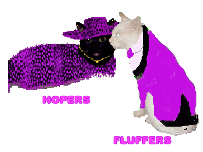 Fluffers and Hopers