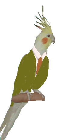Mr Birdie